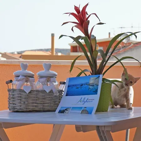 Bed & Breakfast Delle Rondini